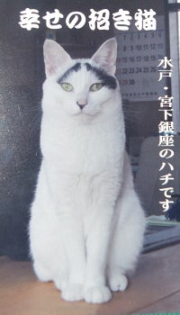 'neco.jpg'
