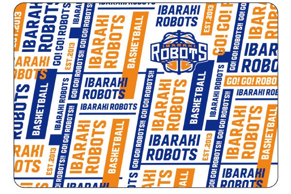 2019-20 ROBOTS PATTERN