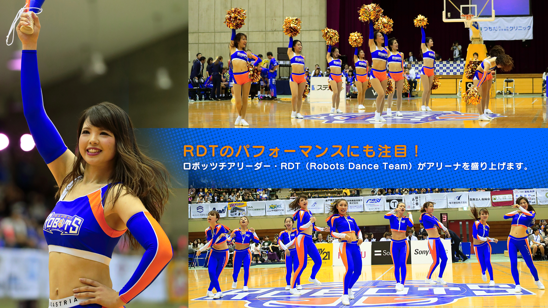 RDTのパフォーマンスにも注目! ロボッツチアリーダー・RDT(Robots Dance Team)がアリーナを盛り上げます。